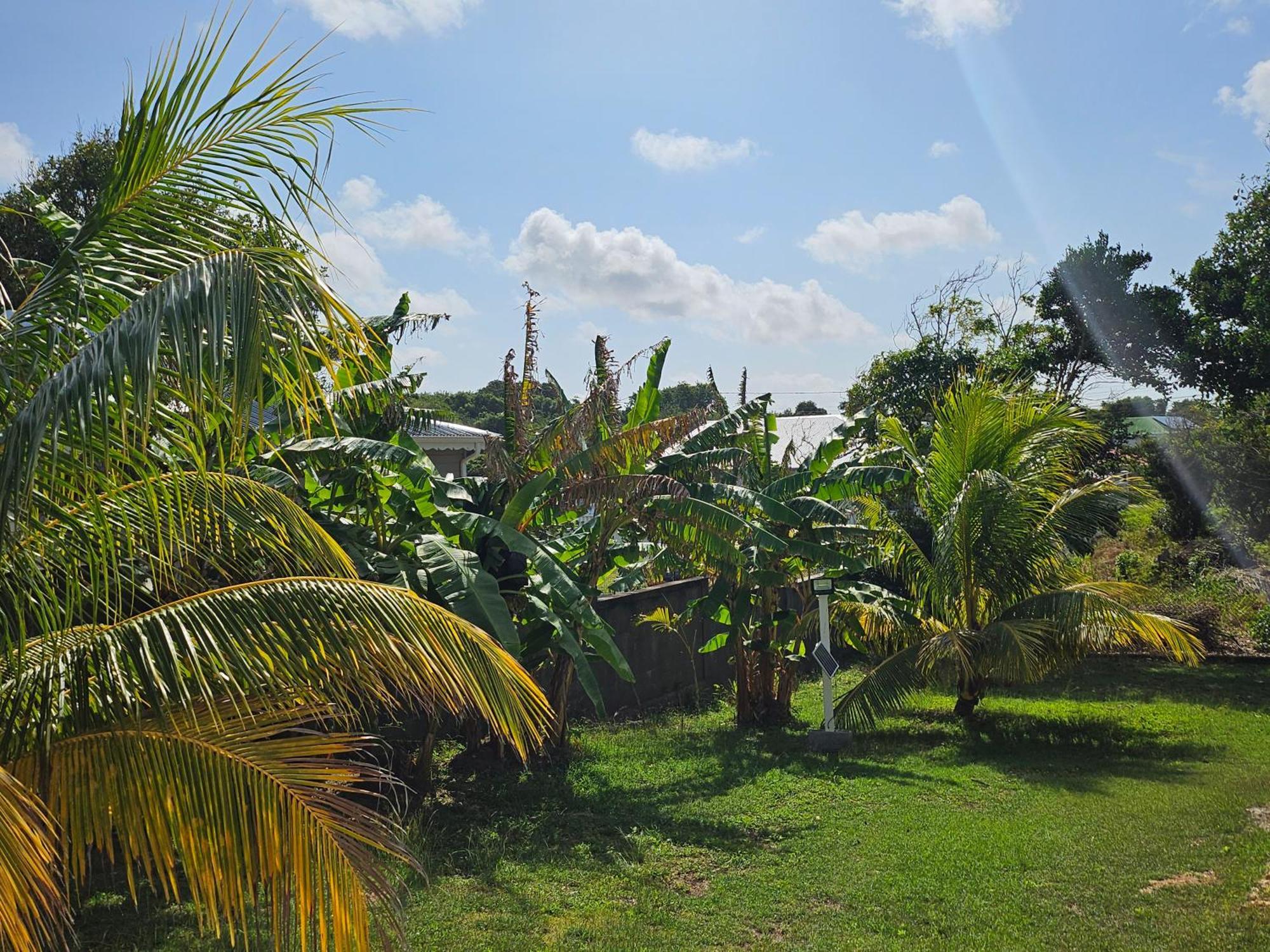 Bungalow Bo Sicrie Villa Le Moule Exterior photo